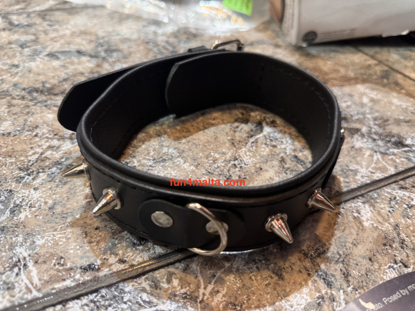 Spike Collar Deluxe - real leather + adjustable